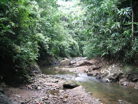 Parque Nacional Chagres Panama