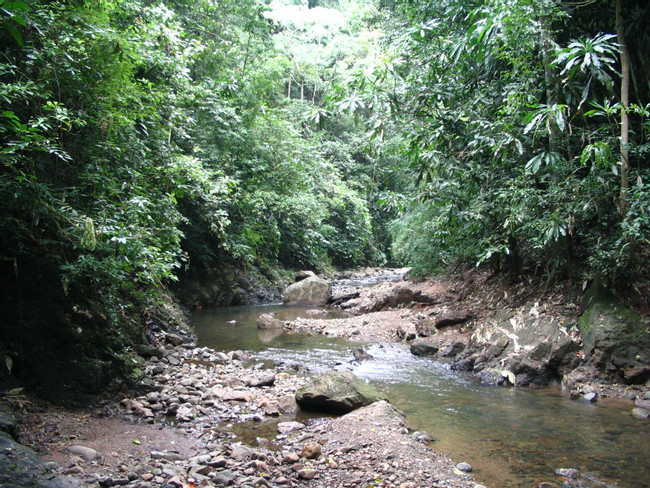 Chagres National Park