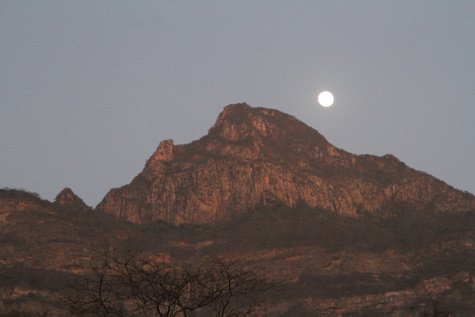 Chaparri Ecological Reserve