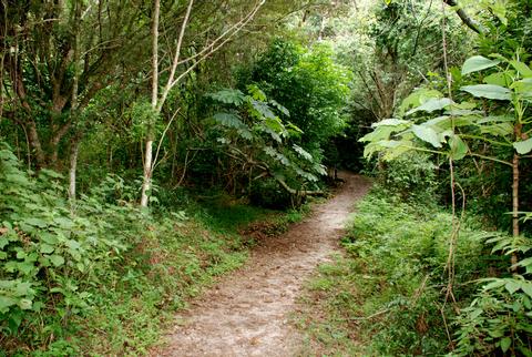 Children's Eternal Rain Forest Costa Rica