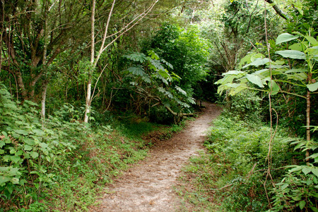 Children's Eternal Rain Forest photo 2