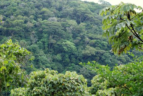 Children's Eternal Rain Forest Costa Rica