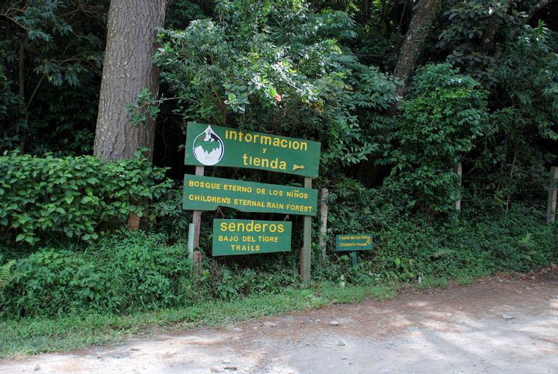 Children’s Eternal Rainforest Reserve - 2023 Guide