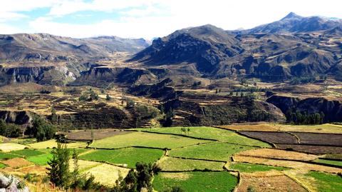 Cañón Colca Peru