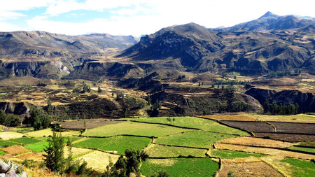 Colca Canyon photo 2