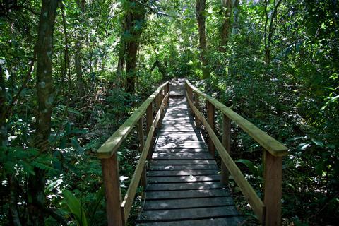 Comunidad y Santuario Baboon Belize