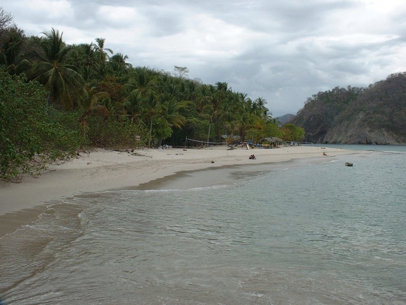 The palm-lined beach and calm, shallow water at Isla Tortuga
