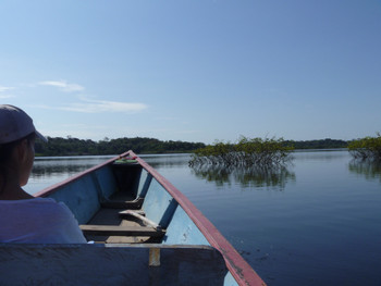 Cuyabeno Wildlife Reserve photo 3