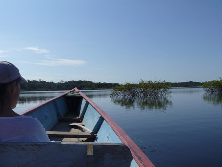 Cuyabeno Wildlife Reserve photo 3