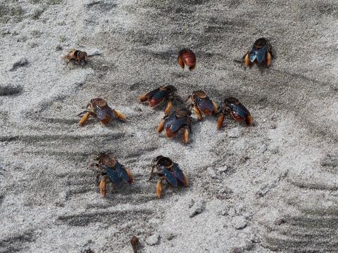 Cuyabeno Wildlife Reserve Ecuador