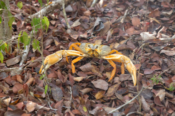 Desembarco del Granma National Park photo 2