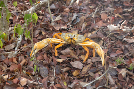 Desembarco del Granma National Park photo 2