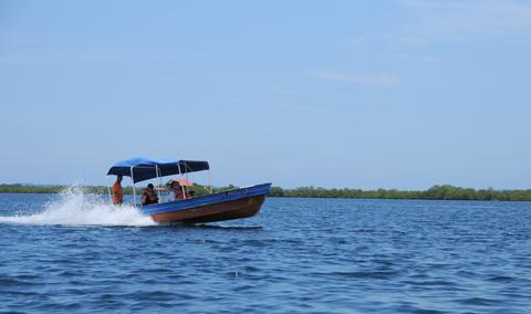 Dolphin Bay Panama