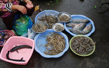 Dong Ba Market photo 3