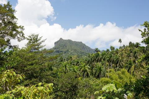 Duaba Natural Park Cuba
