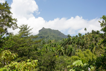 Duaba Natural Park photo 2