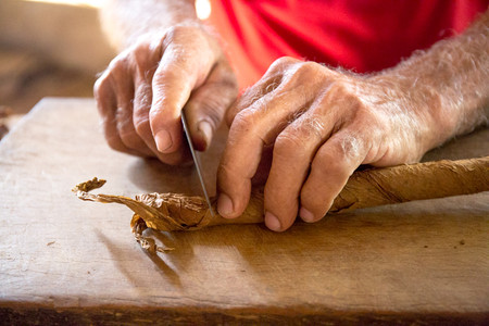 El Pinar Robaina Tobacco Farm photo 3