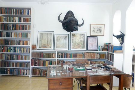 Ernest Hemingway Museum photo 2