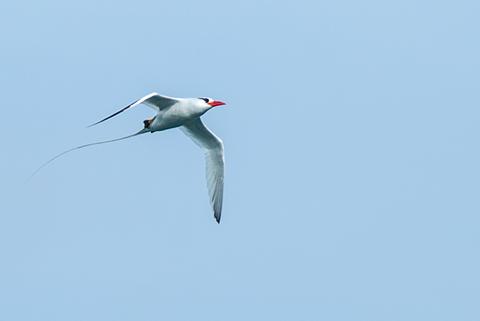 Espanola Ecuador