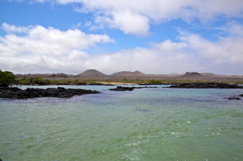 Floreana photo 3
