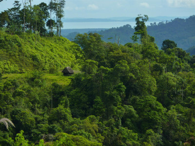 Panama - Reserva Forestal Fortuna
