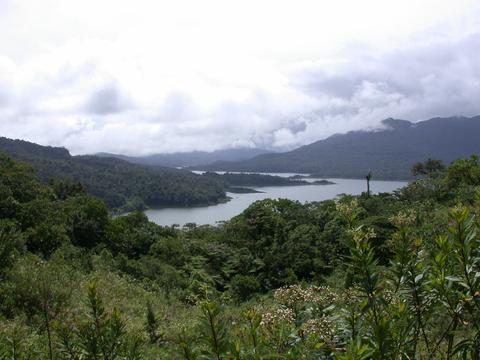 Fortuna Forest Reserve Panama