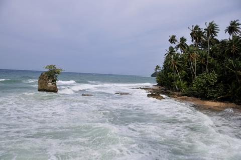 Gandoca Manzanillo Wildlife Refuge Costa Rica