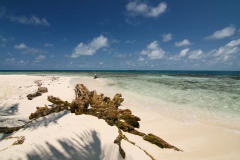 Cayos Gladden Spit & Silk Belize