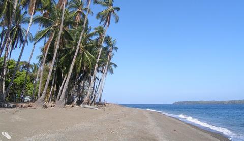 Gobernadora Island Panama