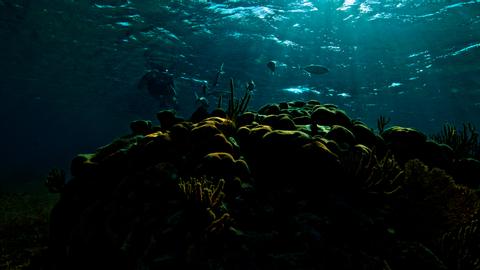 Goff's Caye Belize