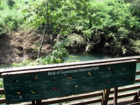 Parque Nacional Guanacaste Belize