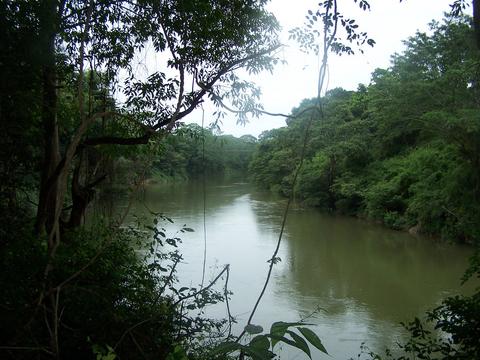 Parque Nacional Guanacaste Belize