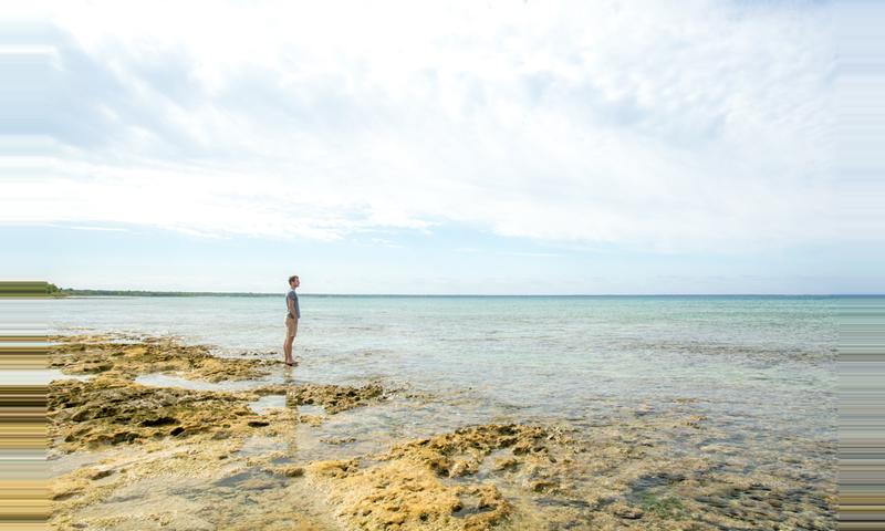 Parque Nacional Península de Guanahacabibes Cuba