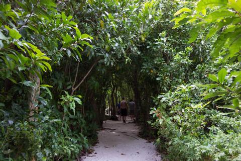 Half Moon Caye Belize