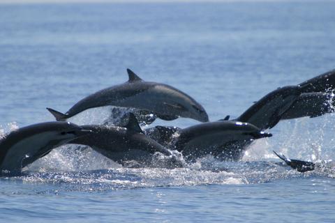 The wonderful Isla del Caño, Visit Costa Rica