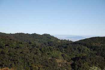 Parque Internacional La Amistad photo 3