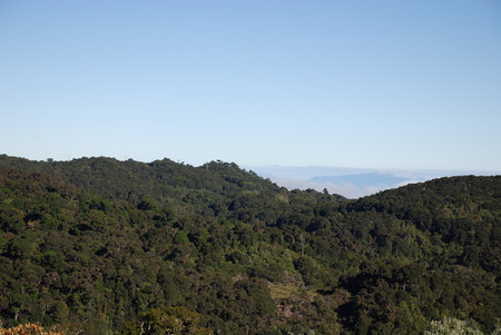Parque Internacional La Amistad photo 3
