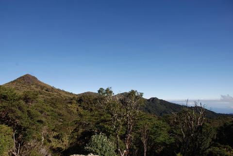 Parque Internacional La Amistad Costa Rica