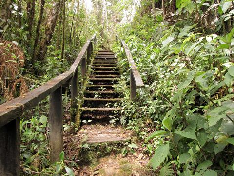 Parque Internacional La Amistad Panama