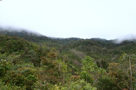 Parque Internacional La Amistad Panama