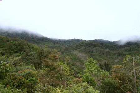 La Amistad International Park photo 2