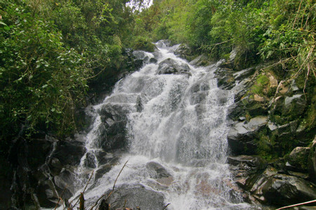 La Amistad International Park photo 3