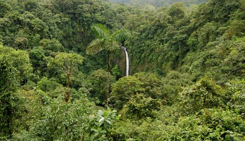 La Fortuna Waterfall Costa Rica