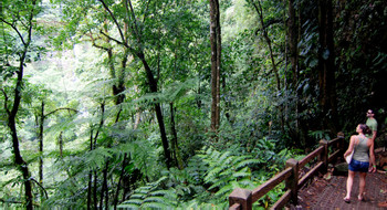 Catarata La Fortuna photo 3