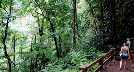 Catarata La Fortuna photo 3