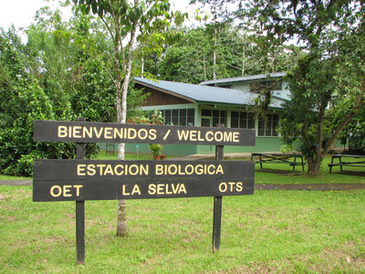Costa Rica - Estación Biológica La Selva