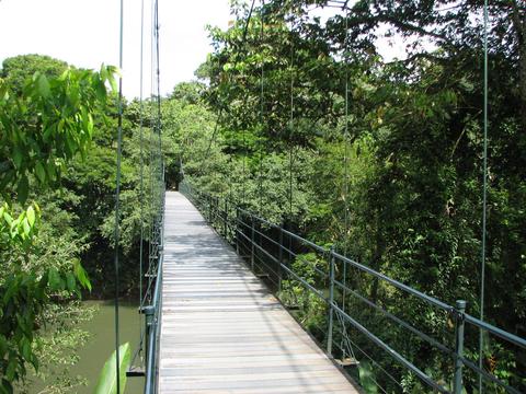 Estación Biológica La Selva Costa Rica