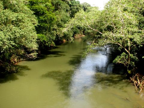 Estación Biológica La Selva Costa Rica