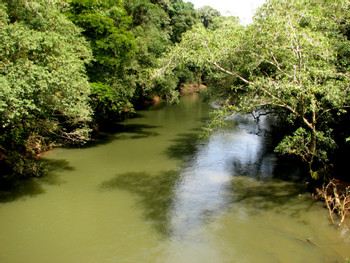 Estación Biológica La Selva photo 3