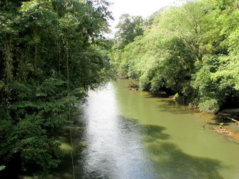 Estación Biológica La Selva Costa Rica